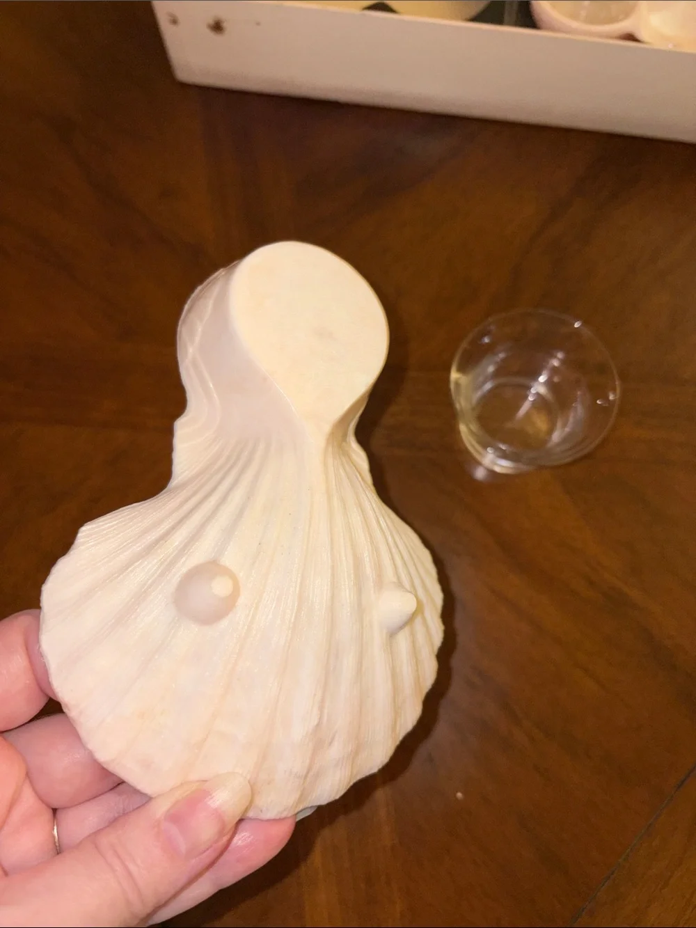 Vintage MCM KAROFF Sea-Servers Set of-6 Cocktail Pale Pink Shell Seafood Shrimp